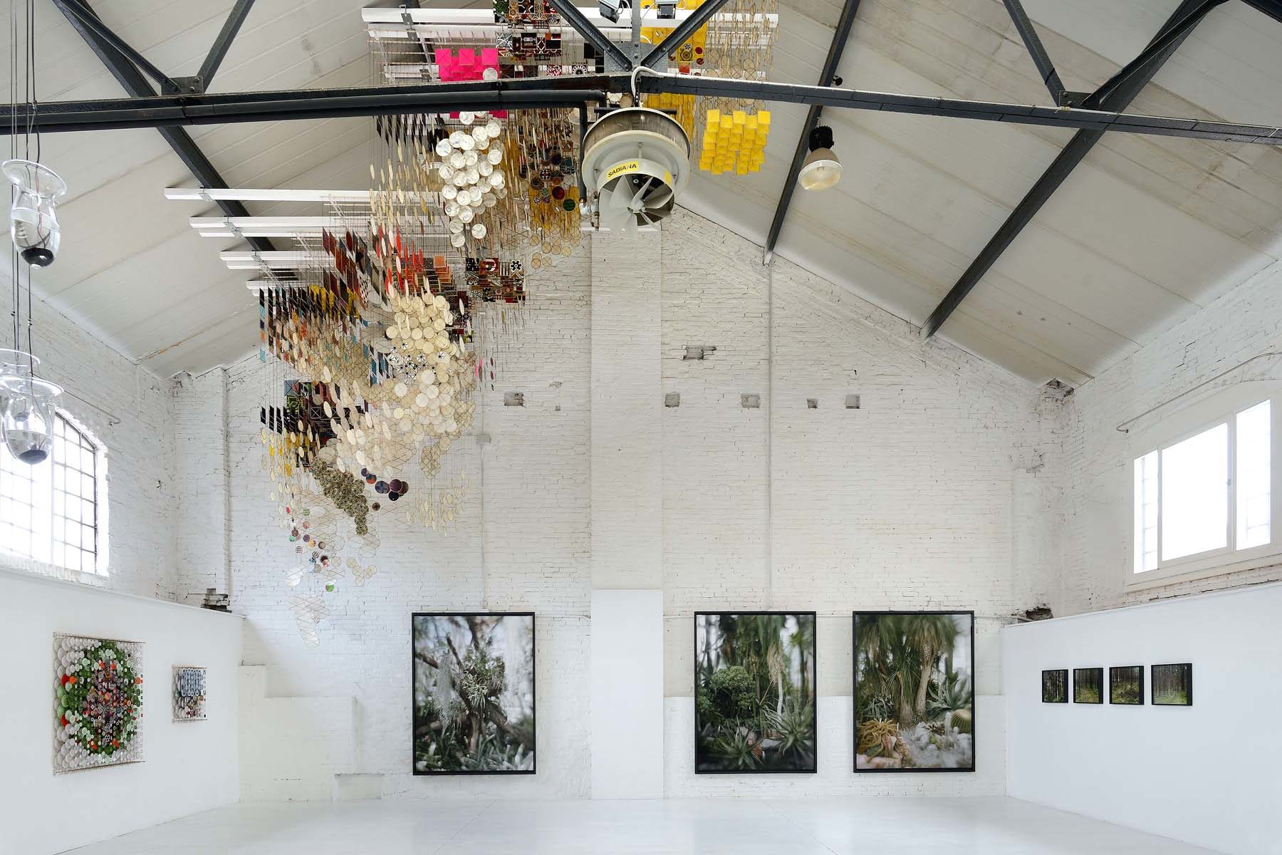 Recursions and Mutations, installation view, GAD, Venice, courtesy of Studio la Città, Verona, ph. M. A. Sereni