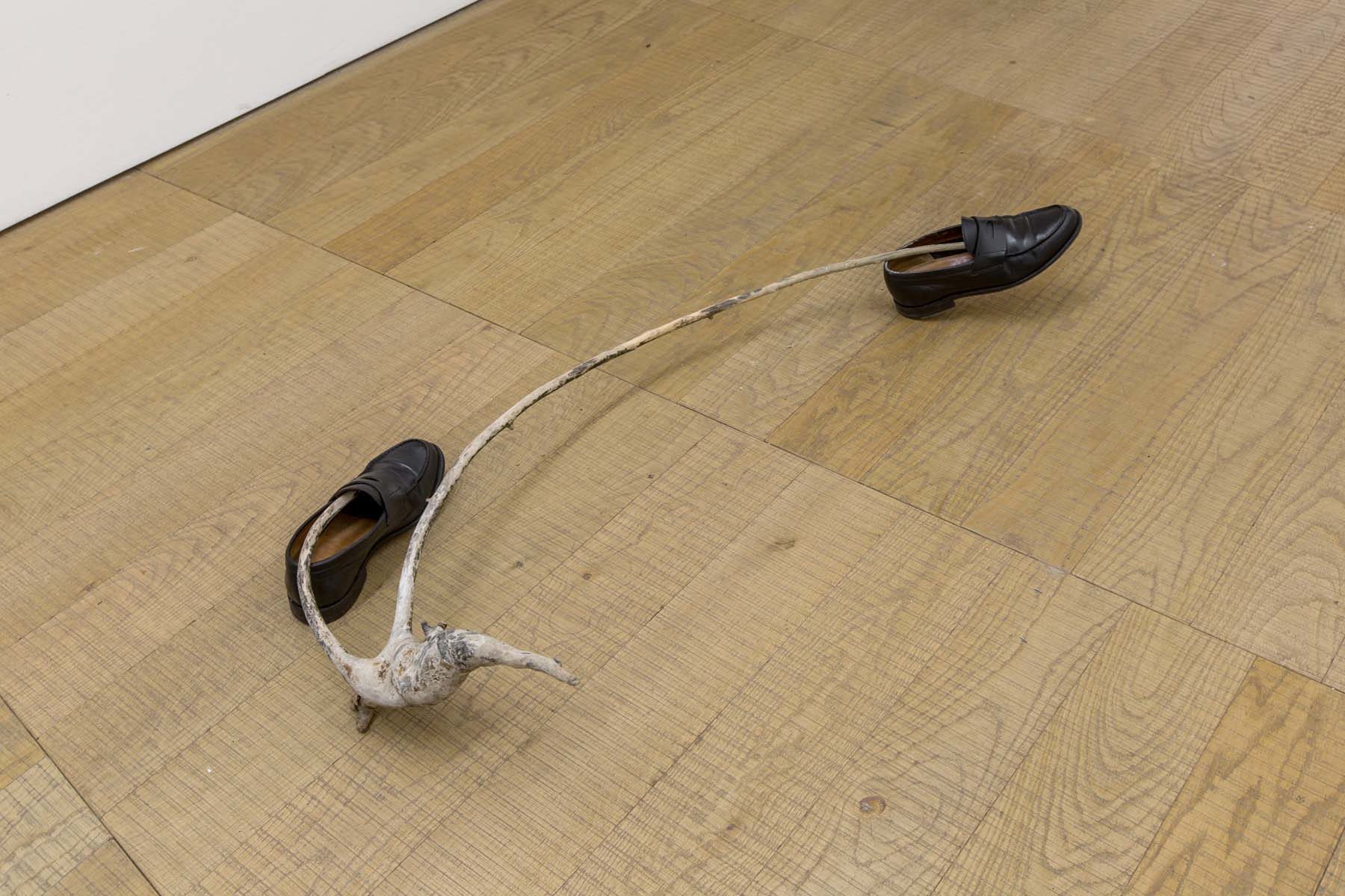 Marco Godinho, A slight change in direction, 2017, found tree root and found pair of shoes, dimensions of a long step of the artist