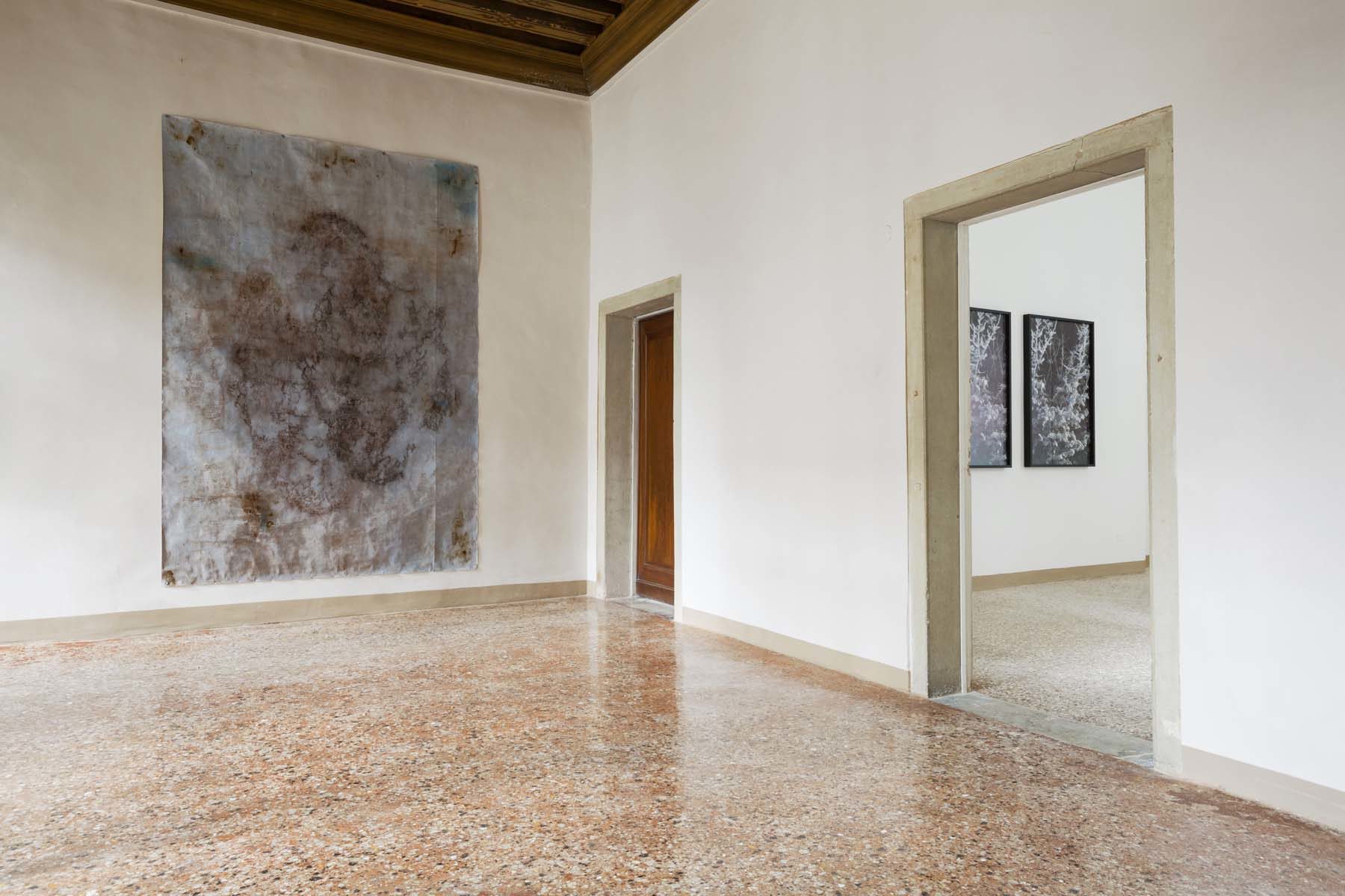 Reagents, installation view, Complesso dell’Ospedaletto, Venezia, ph. Nico Covre