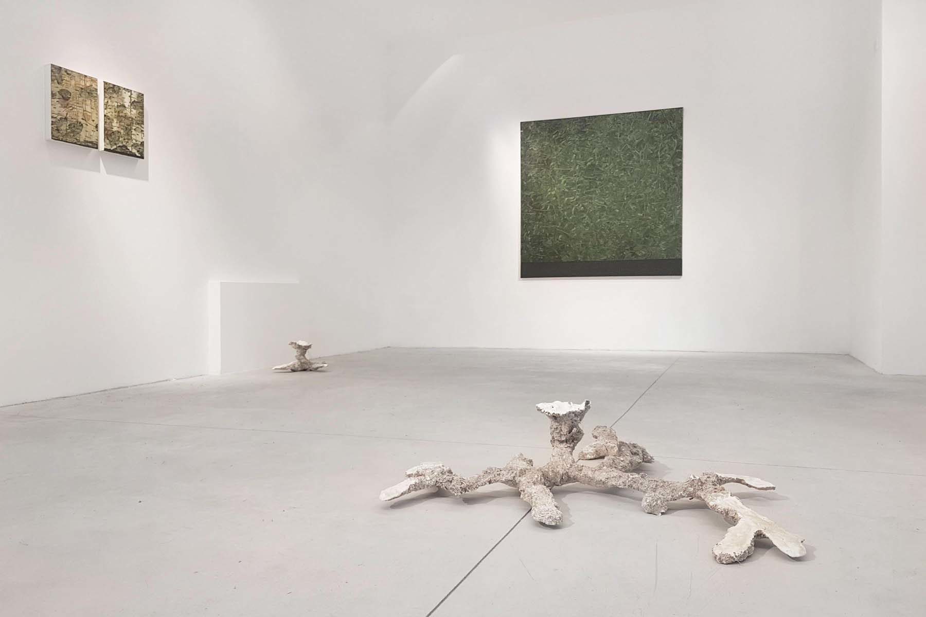 Sentieri non-euclidei, installation view, Nuovo Spazio di Casso, Dolomiti Contemporanee