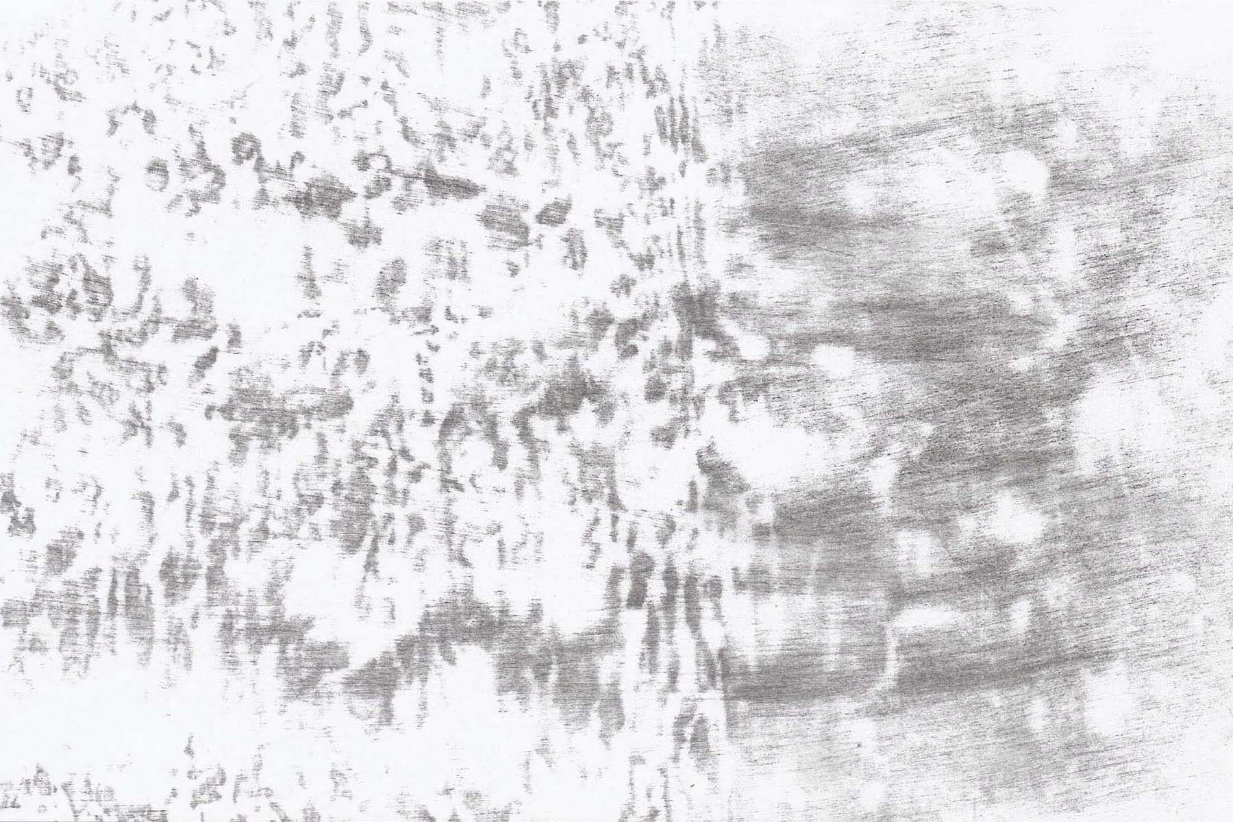 V. De Giovanelli, Come echi che a lungo e da lontano si confondono, 2015, installation, frottage, graphite on stone paper, 21 x 12 cm each