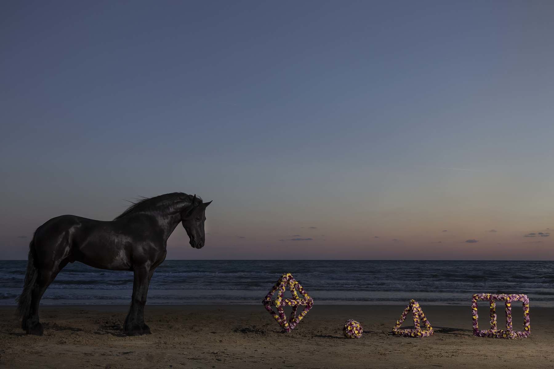 Vinci – Galesi, La terra dei fiori, 2017, stampa su carta Hahnemühle, courtesy of the artists and aA29, ph. M. Bocchieri