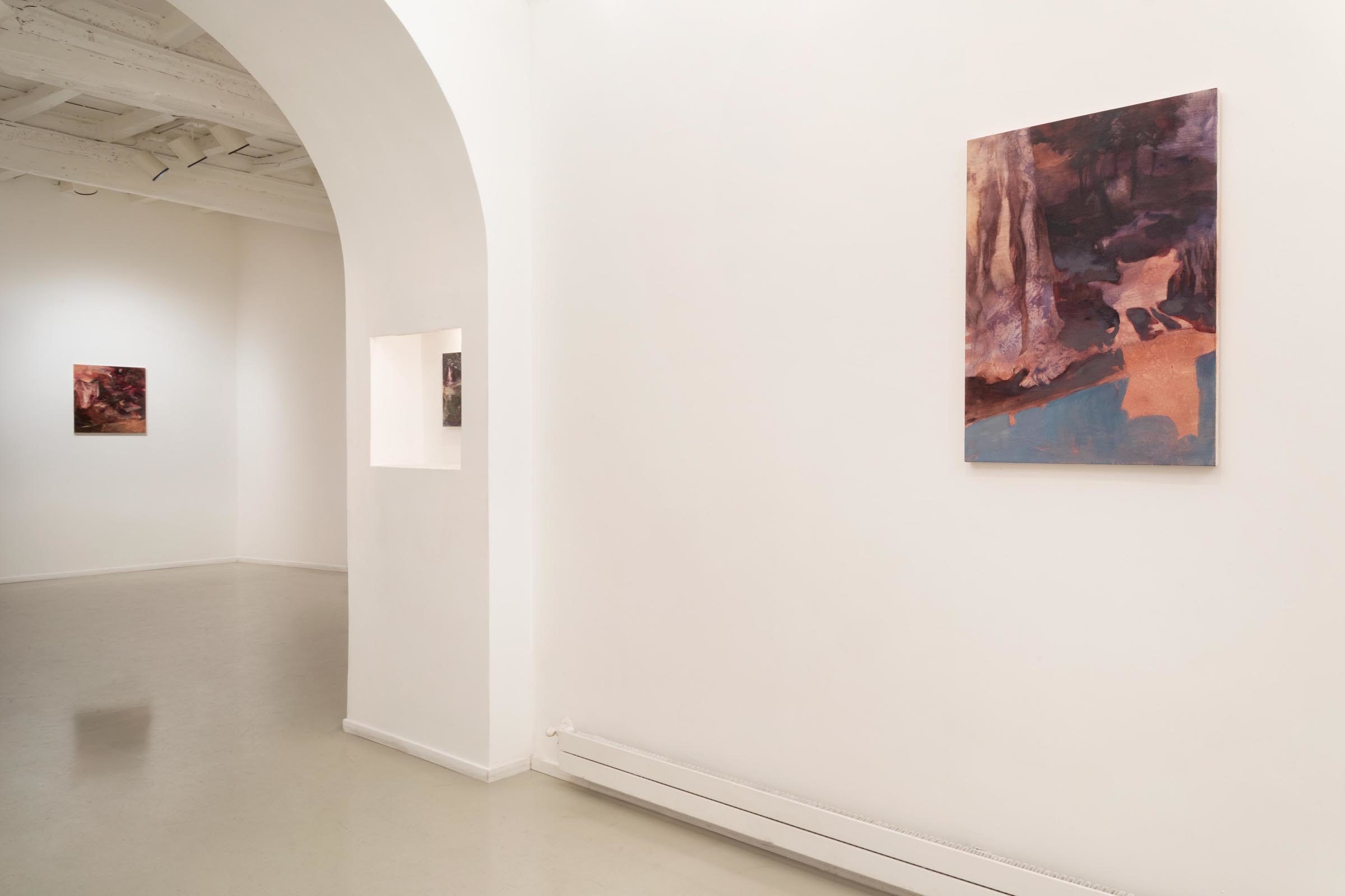 Alice Faloretti, Suspension of Disbelief, installation view, Francesca Antonini Artecontemporanea, Roma, ph. D. Molajoli