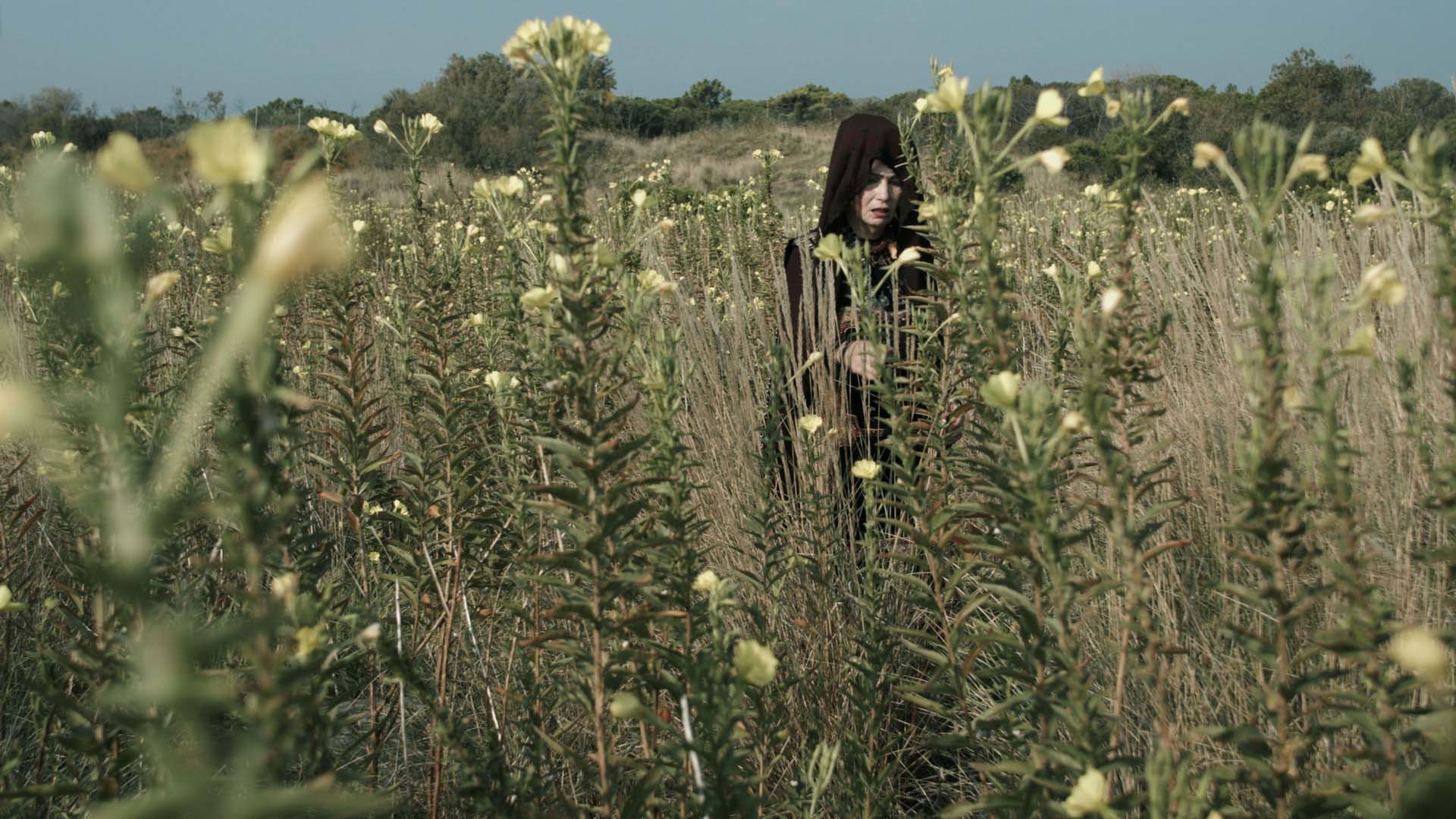 Elisabetta Di Sopra, Pietas, 2018, fotogramma, stampa a getto su carta fine art, 70 x 39 cm