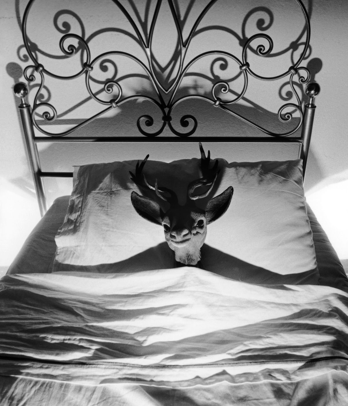 Francesco Nonino, Come se la vergogna, 2010, foto b-n