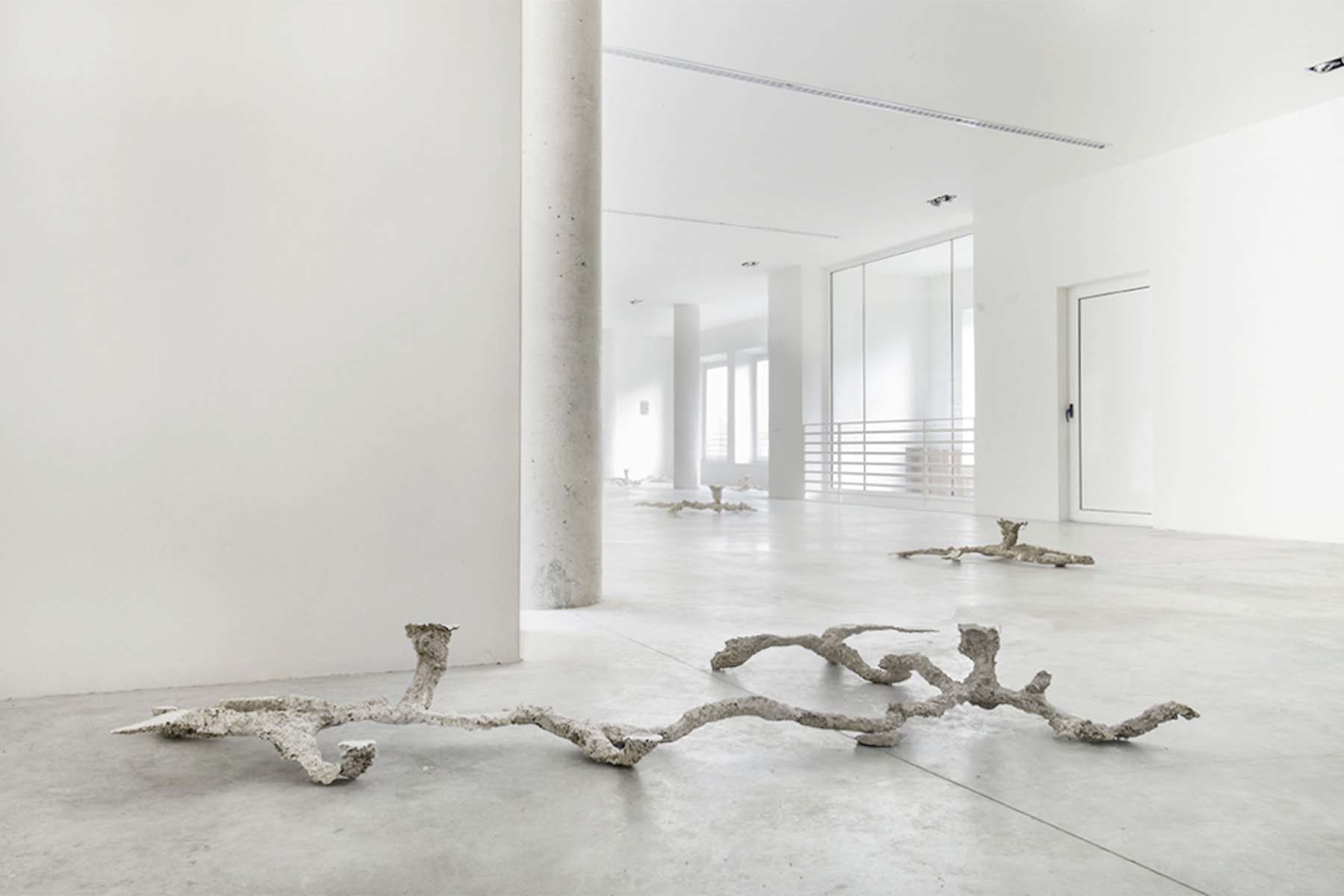 Sentieri non-euclidei, installation view, Nuovo Spazio di Casso, Dolomiti Contemporanee