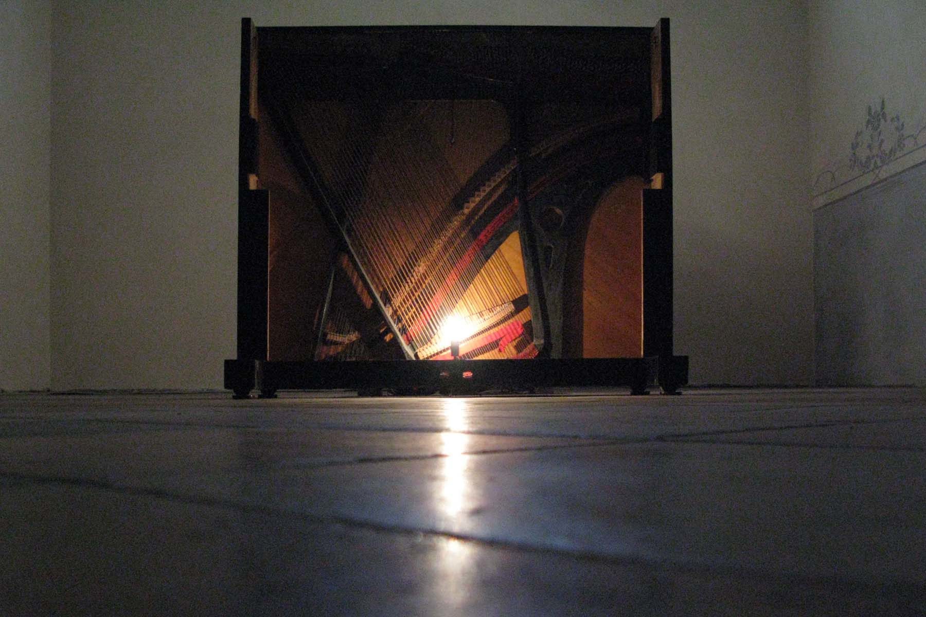 Jacopo Mazzonelli, Organico, 2010, mixed media, installation view