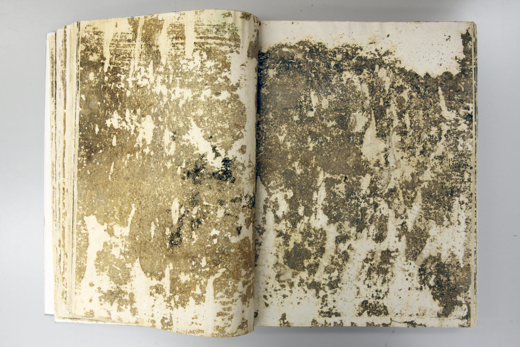 A. Scodro, Caduceo, 2009-2015, paper, wax, floor imprint, paperback, variable dimensions, four pieces