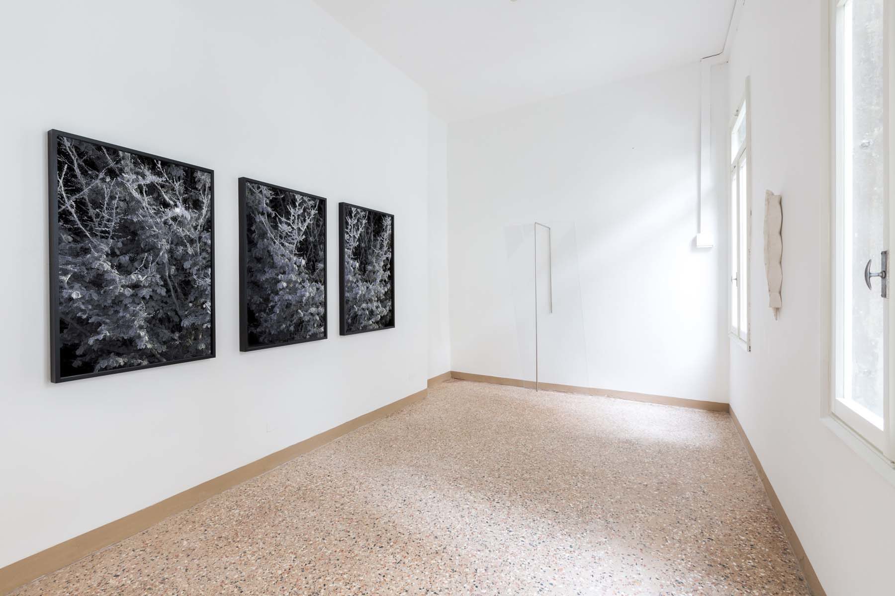 Reagents, installation view, Complesso dell’Ospedaletto, Venezia, ph. Nico Covre