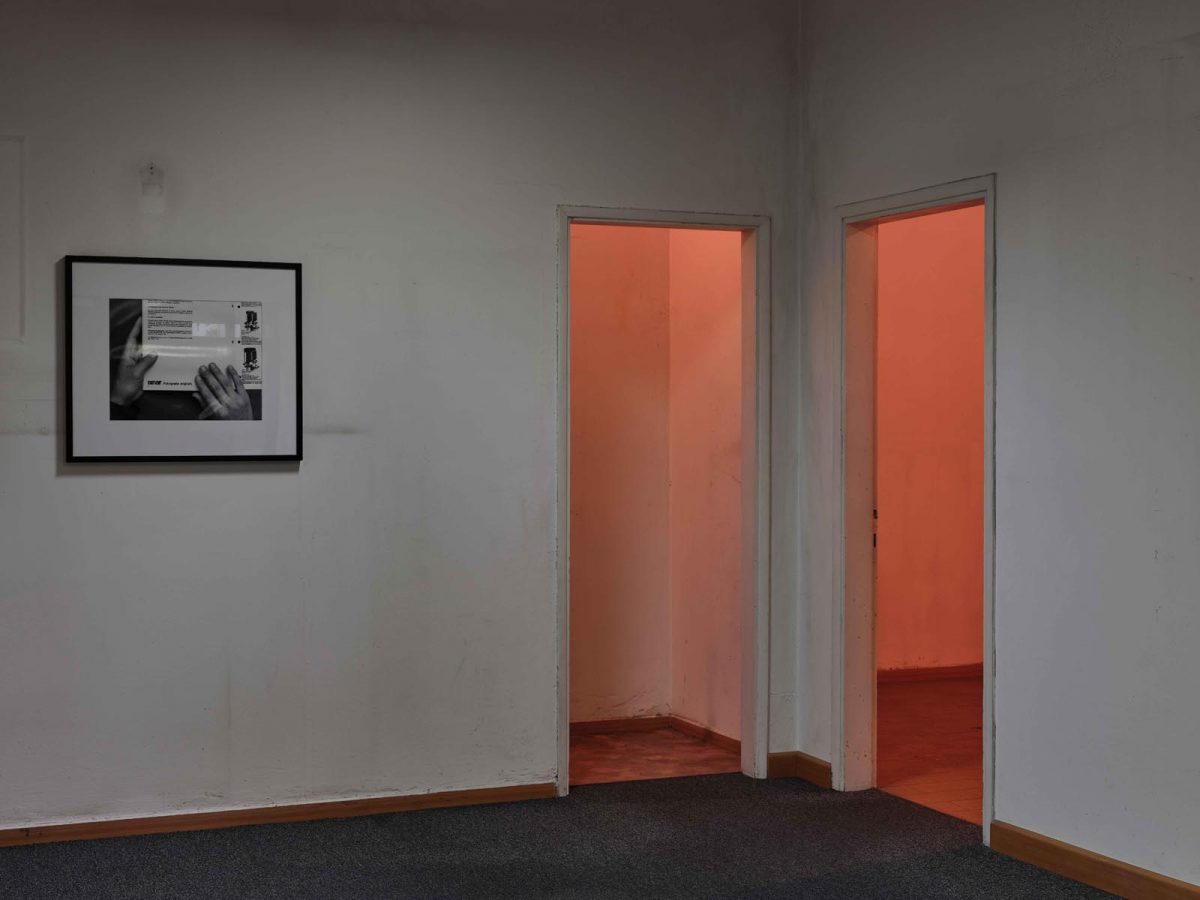 Massimo Spada, Pavistil (#2), 2021, installation view, Conegliano