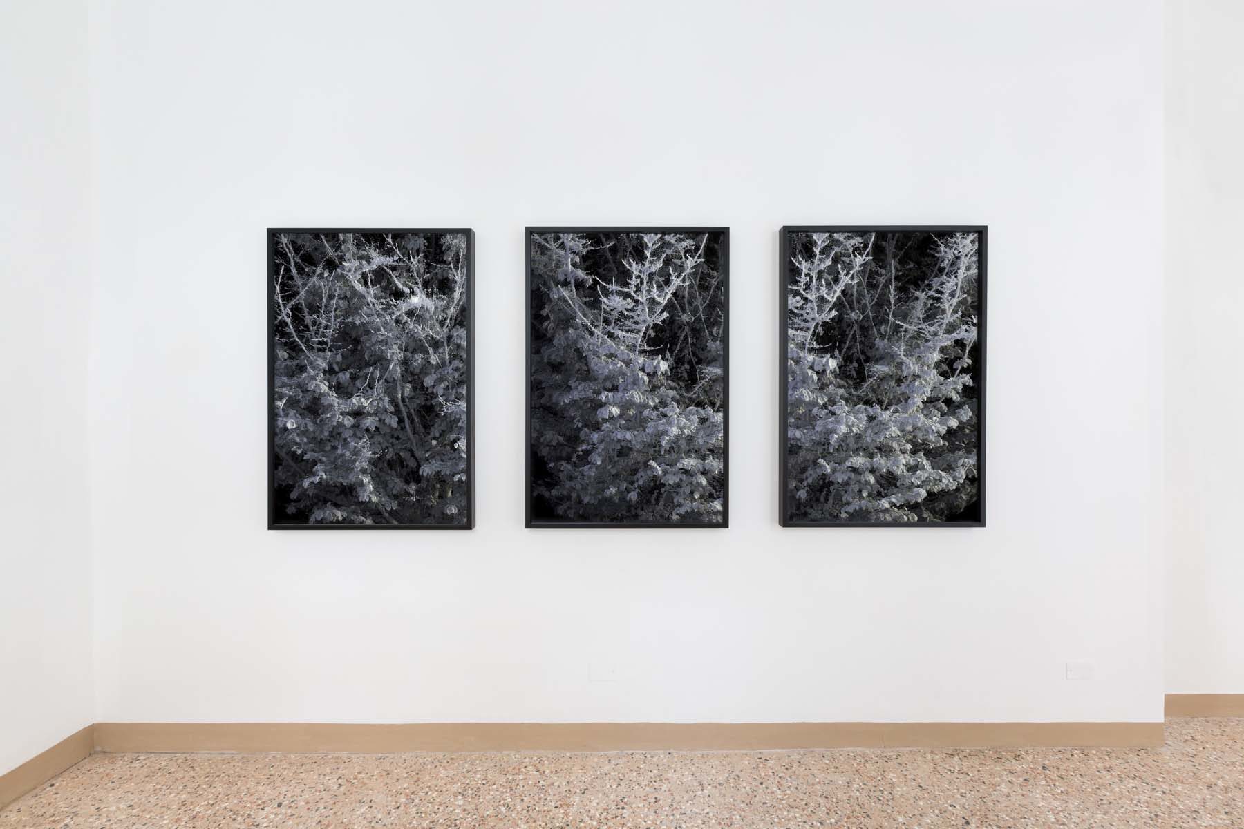 Reagents, installation view, Complesso dell’Ospedaletto, Venezia, ph. Nico Covre