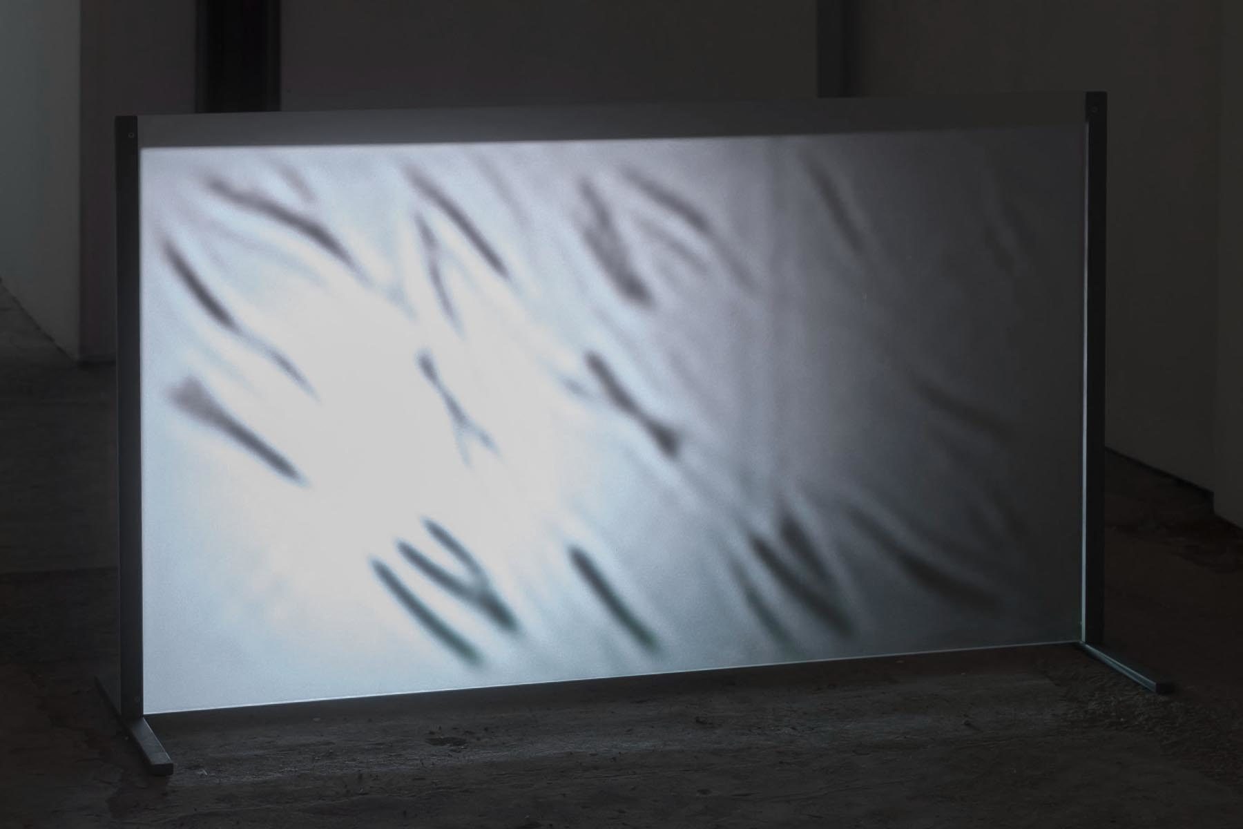 Michele Spanghero, Translucide, 2009-2017, video, sound, loop