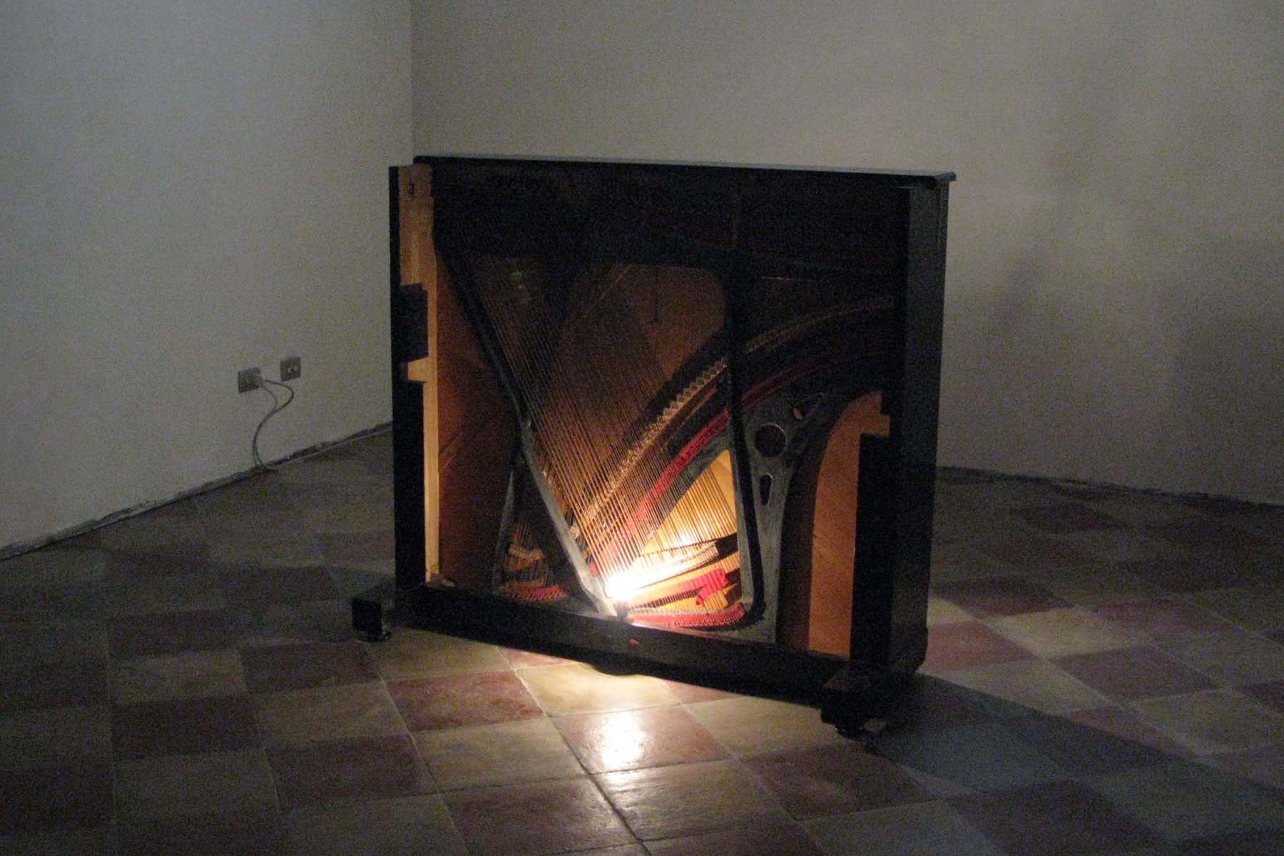 Jacopo Mazzonelli, Organico, 2010, mixed media, installation view