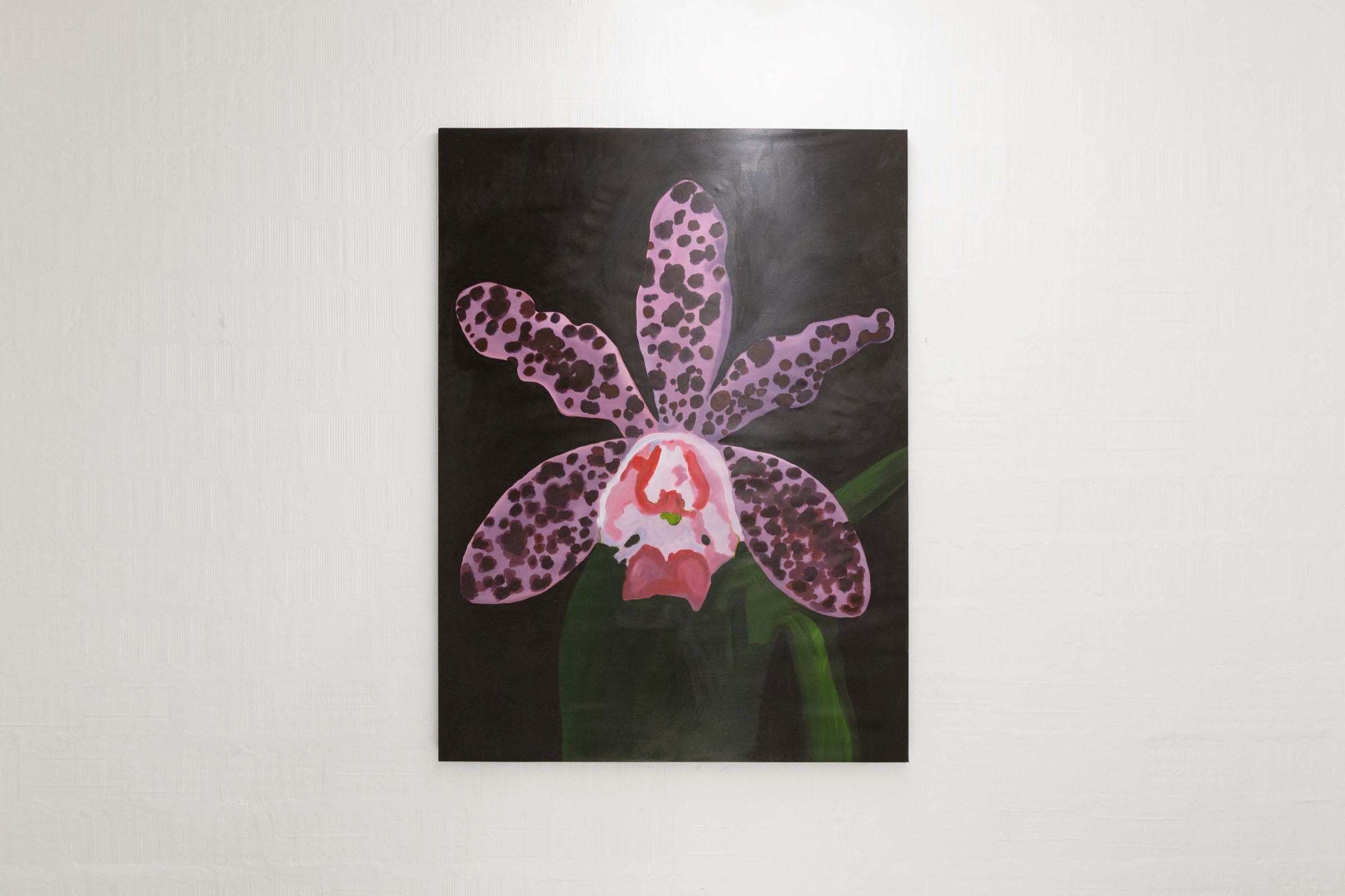 Matteo Attruia, A Flower for Piet, show view, Galleria MDL, Venice, ph. N. Covre