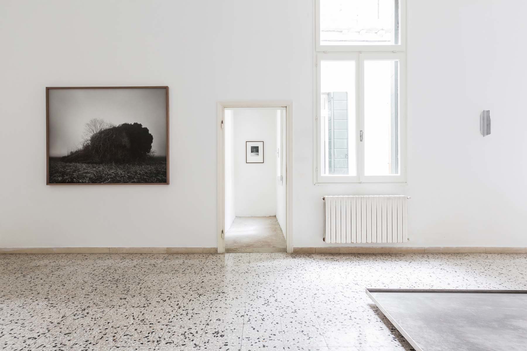 Reagents, installation view, Complesso dell’Ospedaletto, Venezia, ph. Nico Covre