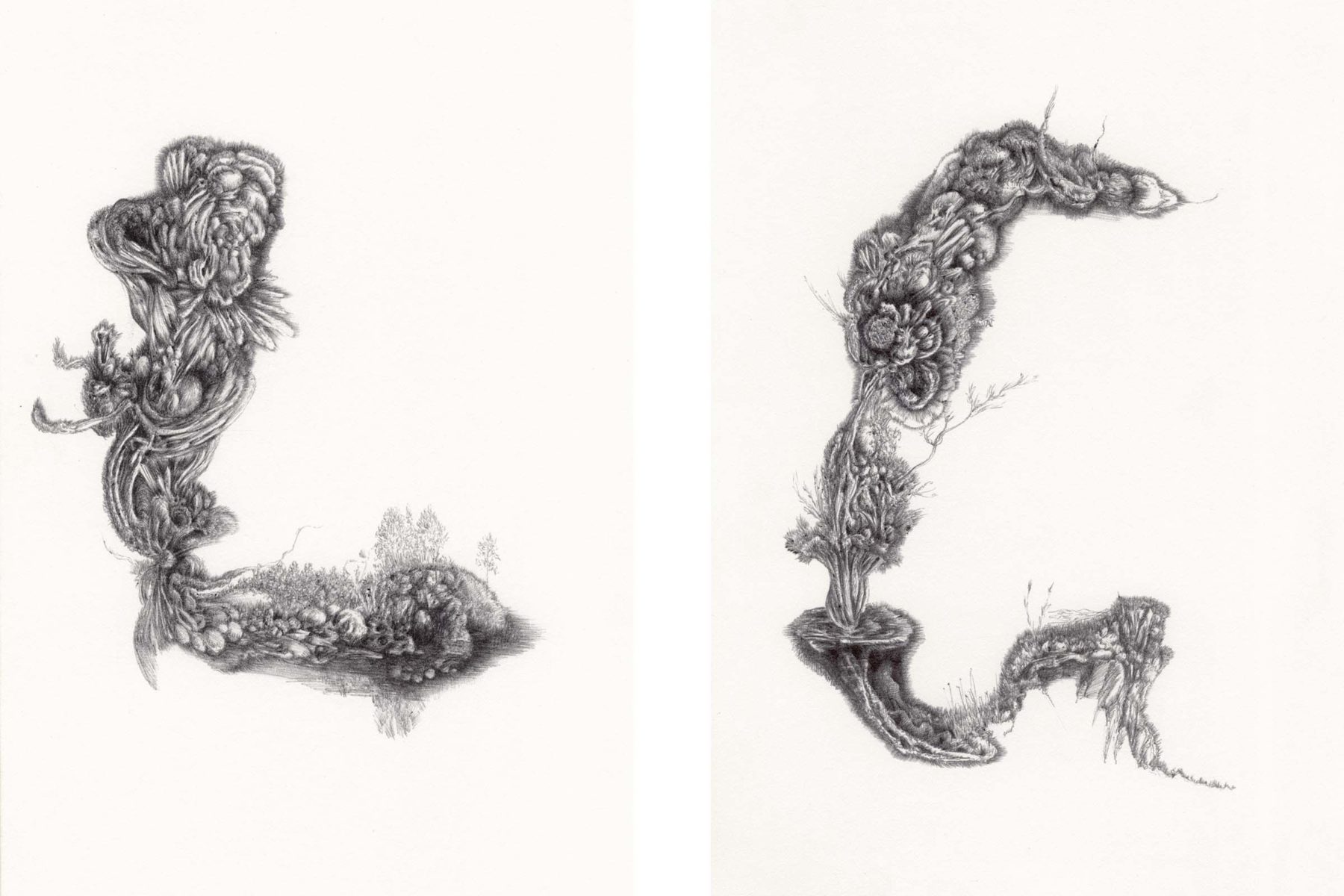 Carlos Ceci, Disegno non titolato #1, 2012, pencil on paper, 26 x 18 each