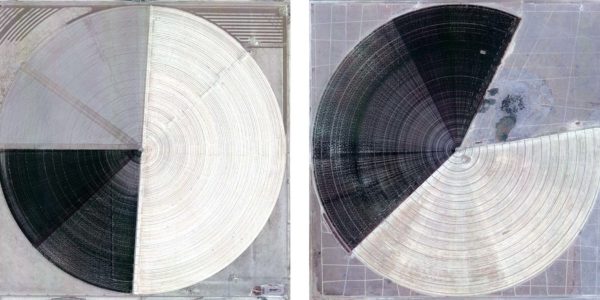 Marco Cadioli, Square with concentric circles (#22, #48), 2013, digital print on paper, 30 x 30 cm each