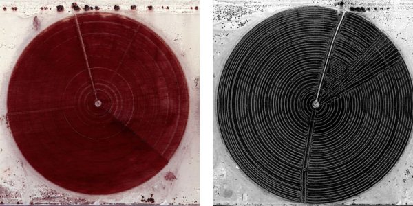 Marco Cadioli, Square with concentric circles (#64, #65), 2013, digital print on paper, 60 x 60 cm each