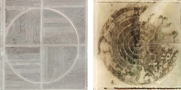 Marco Cadioli, Square with concentric circles (#81,e #87), 2013-14, digital print on paper, 30 x 30 cm each