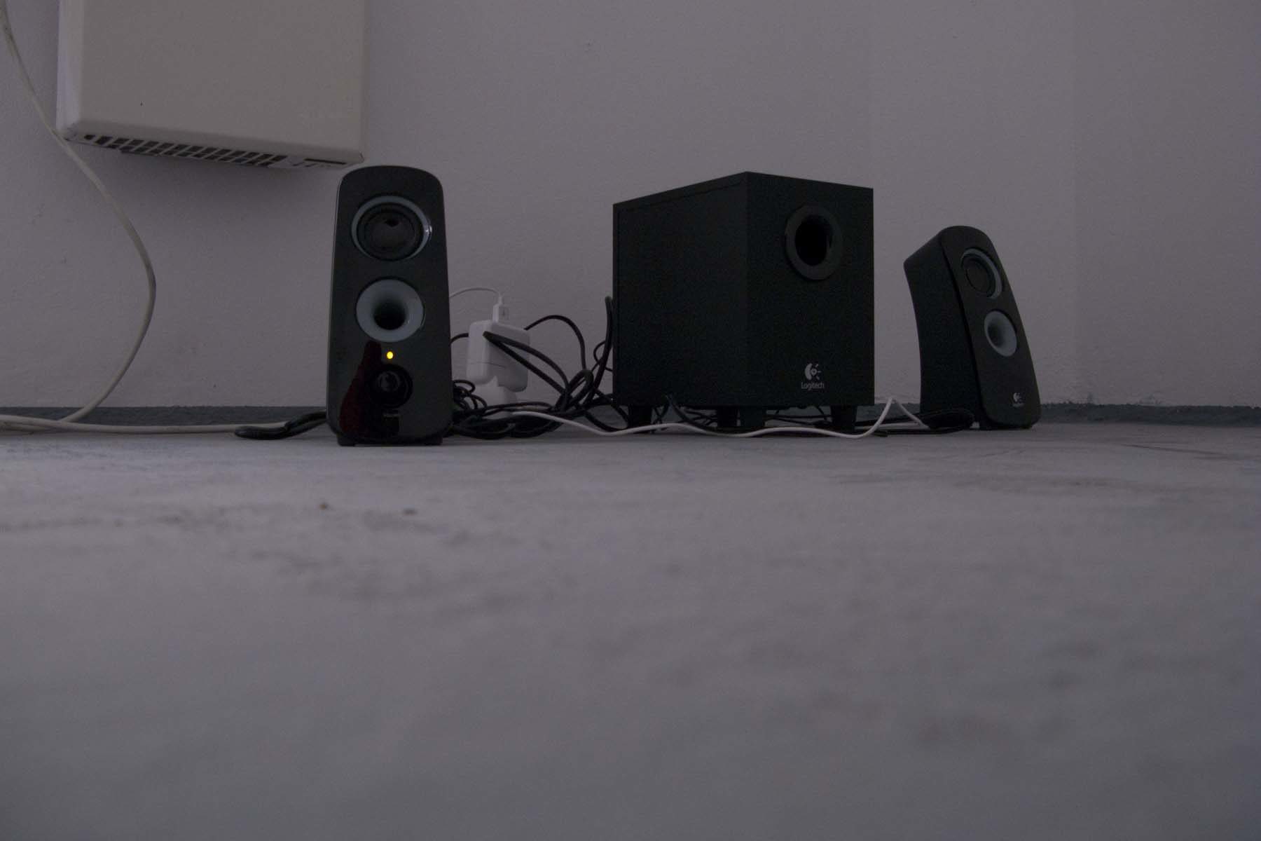 N. Cvijanović, Chronos devouring one of his children, 2010, loudspeaker, sound, 6’07’’, loop