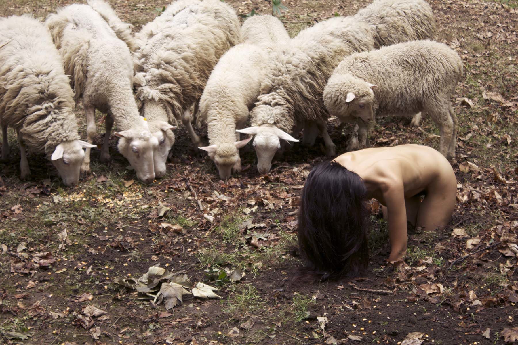 Regina José Galindo, La oveja negra, 2014, video, 6’21”, ph. Nico Covre, courtesy of Prometeogallery di Ida Pisani, Milano